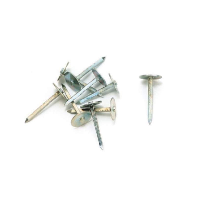 BO-004-witte-achtergrond-(small)